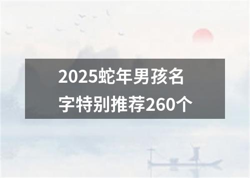 2025蛇年男孩名字特别推荐260个