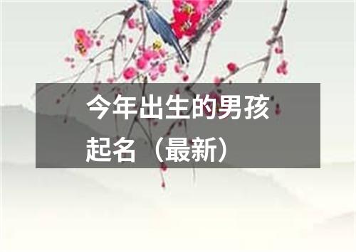 今年出生的男孩起名（最新）