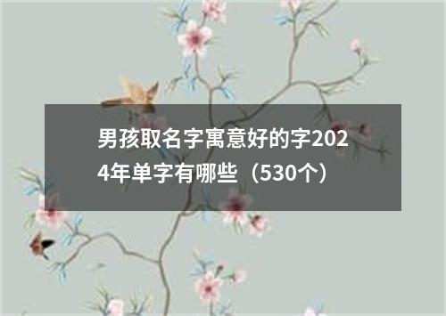 男孩取名字寓意好的字2024年单字有哪些（530个）