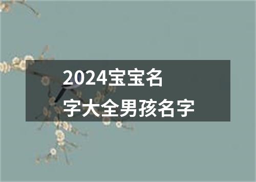 2024宝宝名字大全男孩名字