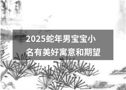 2025蛇年男宝宝小名有美好寓意和期望