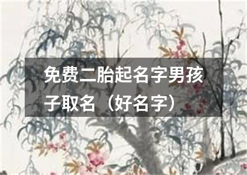 免费二胎起名字男孩子取名（好名字）