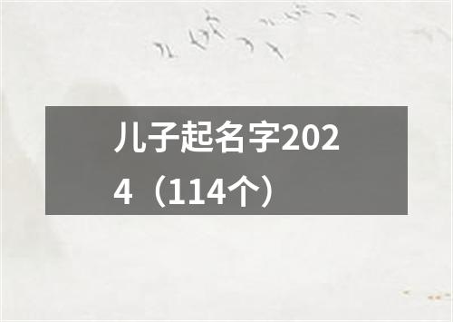 儿子起名字2024（114个）