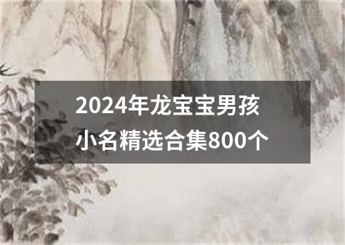 2024年龙宝宝男孩小名精选合集800个