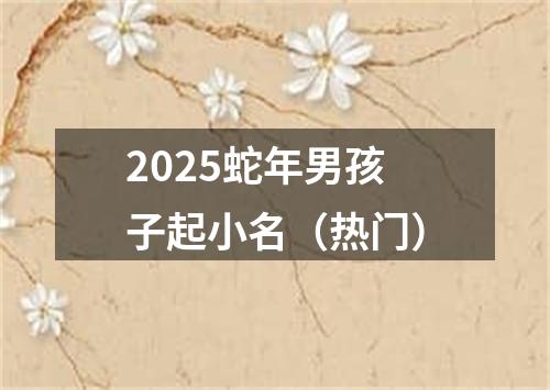 2025蛇年男孩子起小名（热门）