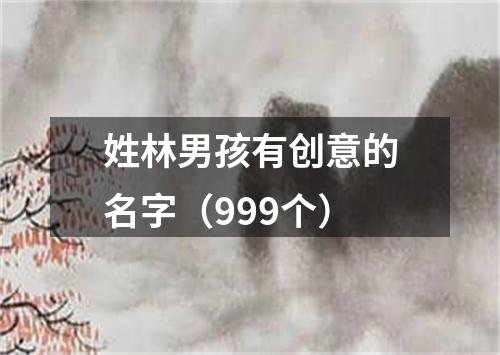 姓林男孩有创意的名字（999个）