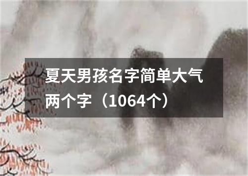 夏天男孩名字简单大气两个字（1064个）