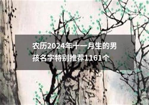 农历2024年十一月生的男孩名字特别推荐1161个