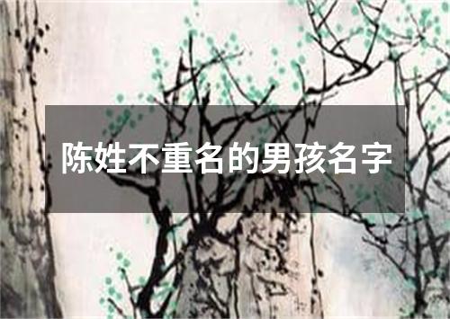 陈姓不重名的男孩名字