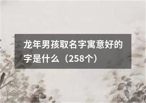 龙年男孩取名字寓意好的字是什么（258个）