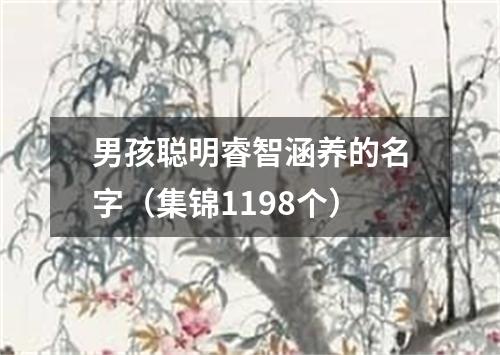 男孩聪明睿智涵养的名字（集锦1198个）