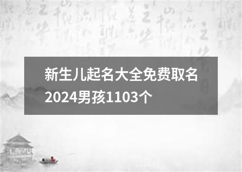 新生儿起名大全免费取名2024男孩1103个