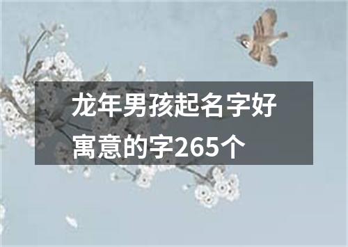 龙年男孩起名字好寓意的字265个