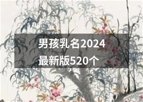 男孩乳名2024最新版520个