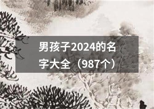 男孩子2024的名字大全（987个）