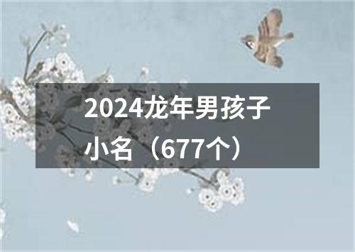 2024龙年男孩子小名（677个）