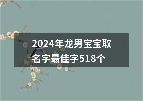 2024年龙男宝宝取名字最佳字518个