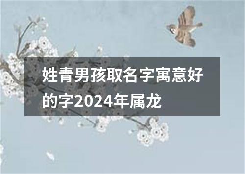 姓青男孩取名字寓意好的字2024年属龙