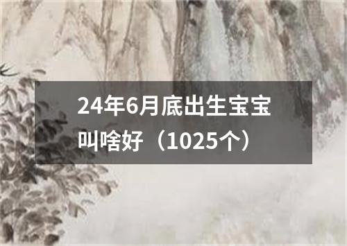 24年6月底出生宝宝叫啥好（1025个）