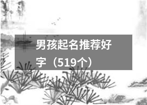 男孩起名推荐好字（519个）