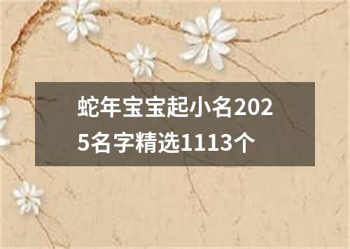 蛇年宝宝起小名2025名字精选1113个