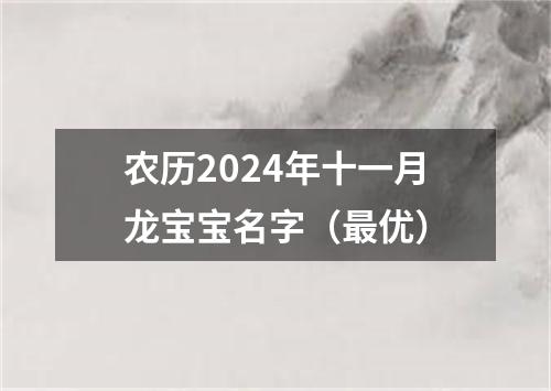 农历2024年十一月龙宝宝名字（最优）