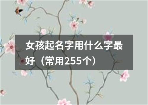 女孩起名字用什么字最好（常用255个）