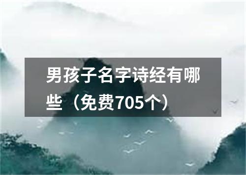 男孩子名字诗经有哪些（免费705个）