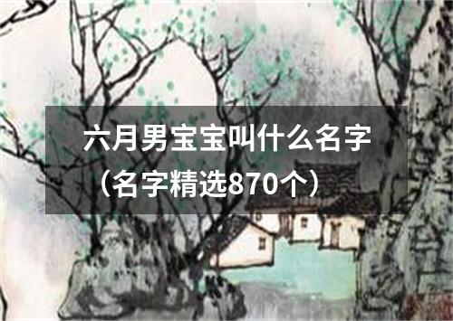 六月男宝宝叫什么名字（名字精选870个）