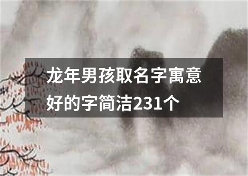 龙年男孩取名字寓意好的字简洁231个