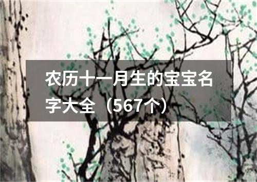 农历十一月生的宝宝名字大全（567个）