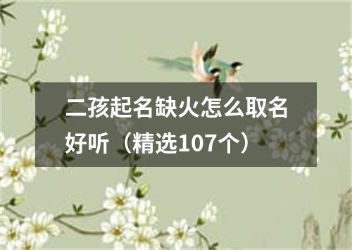 二孩起名缺火怎么取名好听（精选107个）