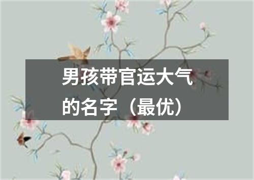 男孩带官运大气的名字（最优）