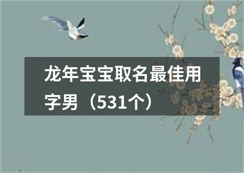 龙年宝宝取名最佳用字男（531个）