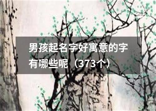 男孩起名字好寓意的字有哪些呢（373个）