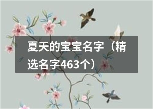 夏天的宝宝名字（精选名字463个）