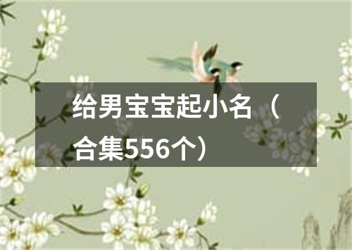 给男宝宝起小名（合集556个）