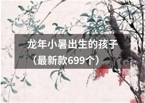 龙年小暑出生的孩子（最新款699个）