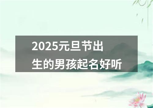 2025元旦节出生的男孩起名好听