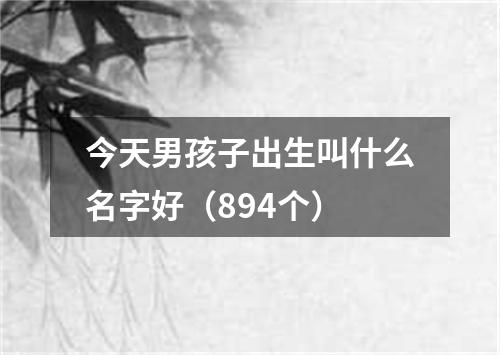 今天男孩子出生叫什么名字好（894个）