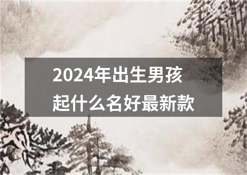 2024年出生男孩起什么名好最新款