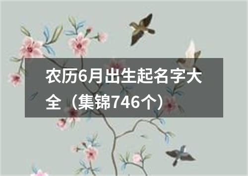 农历6月出生起名字大全（集锦746个）