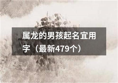 属龙的男孩起名宜用字（最新479个）