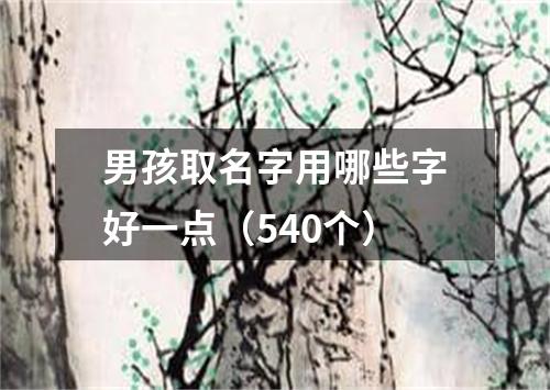 男孩取名字用哪些字好一点（540个）