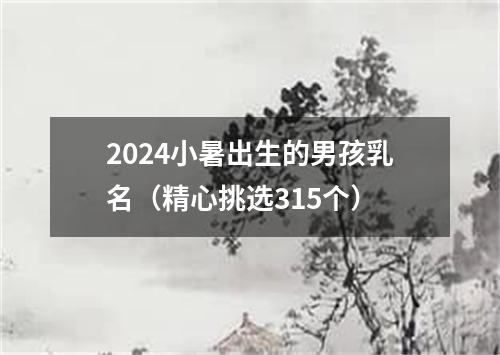 2024小暑出生的男孩乳名（精心挑选315个）