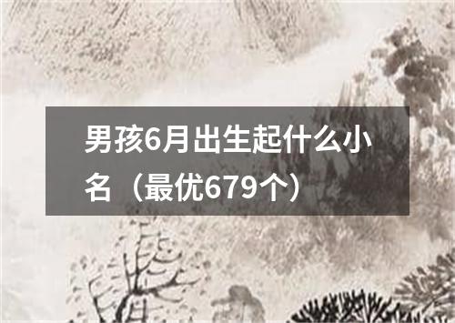 男孩6月出生起什么小名（最优679个）