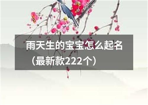 雨天生的宝宝怎么起名（最新款222个）