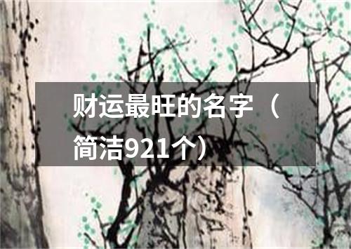 财运最旺的名字（简洁921个）