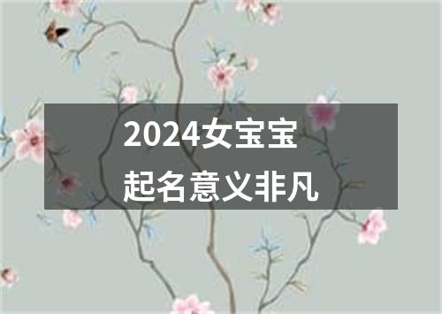 2024女宝宝起名意义非凡