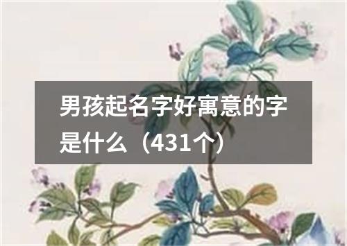 男孩起名字好寓意的字是什么（431个）